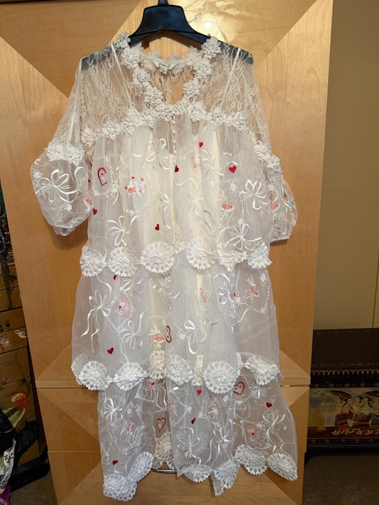 Anthropologie White Sheer Lace Maxi Dress with Red Heart Embroidery Anthropologie White Sheer Lace Maxi Dress with Red Heart Embroidery